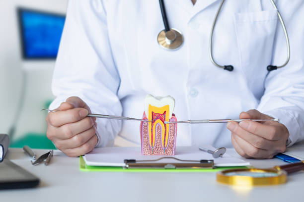 Best Emergency Root Canal Treatment in Waretown, NJ